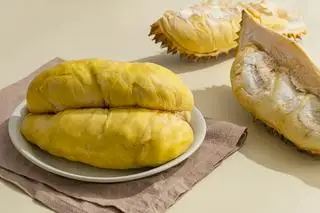 Hình ảnh Sầu riêng R16