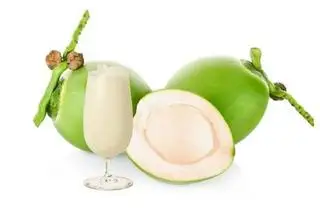Hình ảnh Sinh Tố Dừa