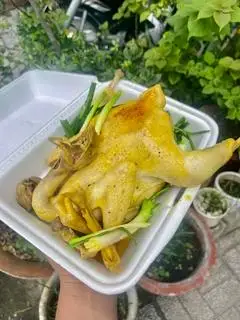Hình ảnh Gà Tre Luộc 1/2 Con Chấm Muối Tiêu Chanh