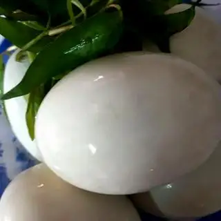 Hột vịt lộn luộc - 10.000 ₫ tại Phá Lấu Bò 245 - Lê Quang Định