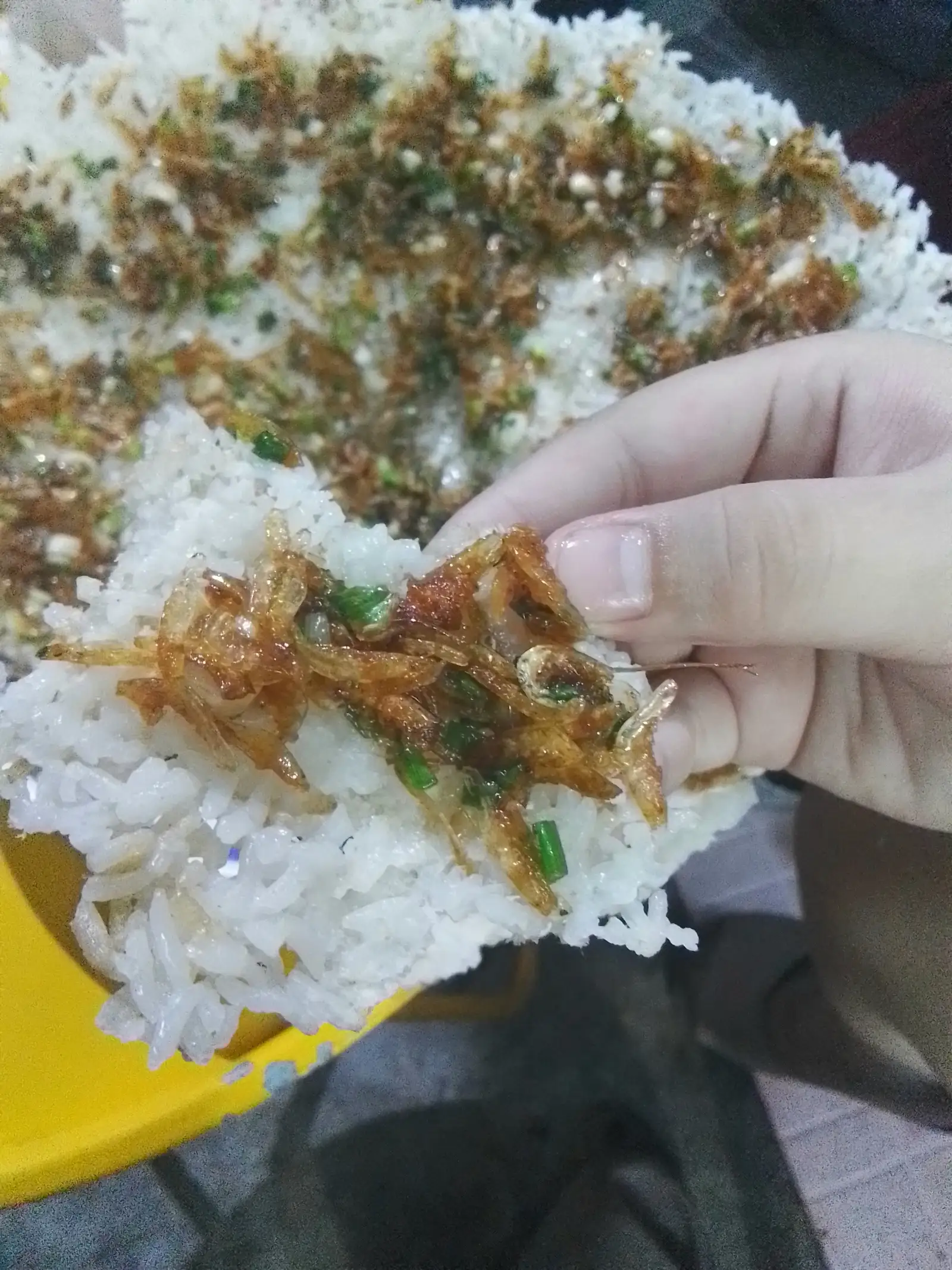 Hình ảnh Cơm cháy + mỡ hành con ruốc 