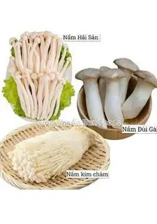 Hình ảnh Nấm