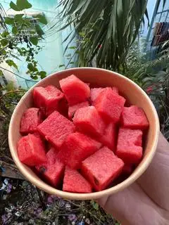 DƯA HẤU  - 39.000 ₫ tại Fruit Box Sạch Phú Nhuận - Trái Cây Cắt Sẵn - Huỳnh Văn Bánh