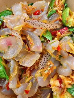 Hình ảnh Sứa Sốt Thái