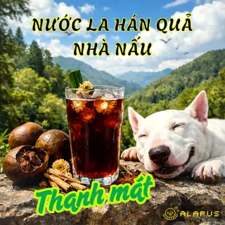 La Hán Quả Nhà Nhà Nấu- Monk Fruit - 22.000 ₫ tại TAKO PLUS 2 - Bánh Bạch Tuộc Khổng Lồ - 105 Tô Hiến Thành