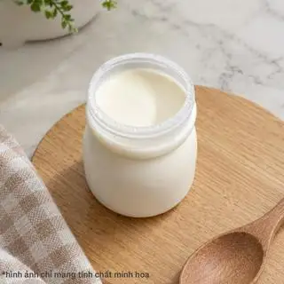 Hình ảnh Sữa chua truyền thống