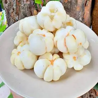 Hình ảnh Măng cụt