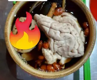 Hình ảnh Óc heo tiềm thuốc Bắc