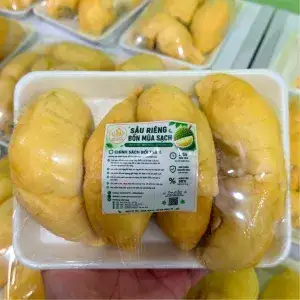 Hình ảnh Khay sầu riêng tách sẵn 600g (loại Vipp) siêu thượng hạng