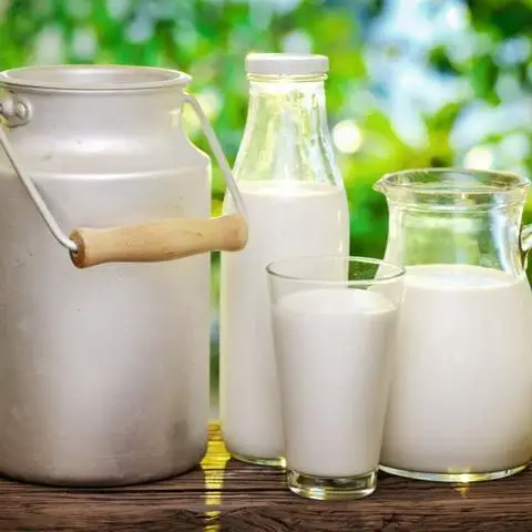 Hình ảnh Tiệm Sữa Bò Tươi Gia Gia - Tam Đông