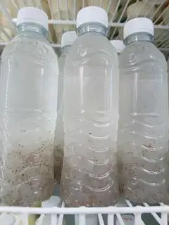Hình ảnh Nha đam hạt chia - 1 chai