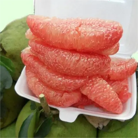 Hình ảnh Rau Câu Sơn Thủy & Trái Cây Trọng Chánh - Lê Tấn Bê