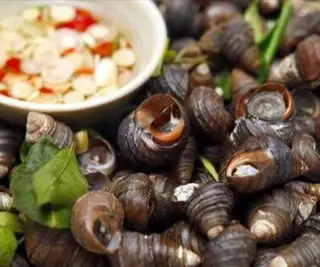 Hình ảnh Ốc nhỏ luộc