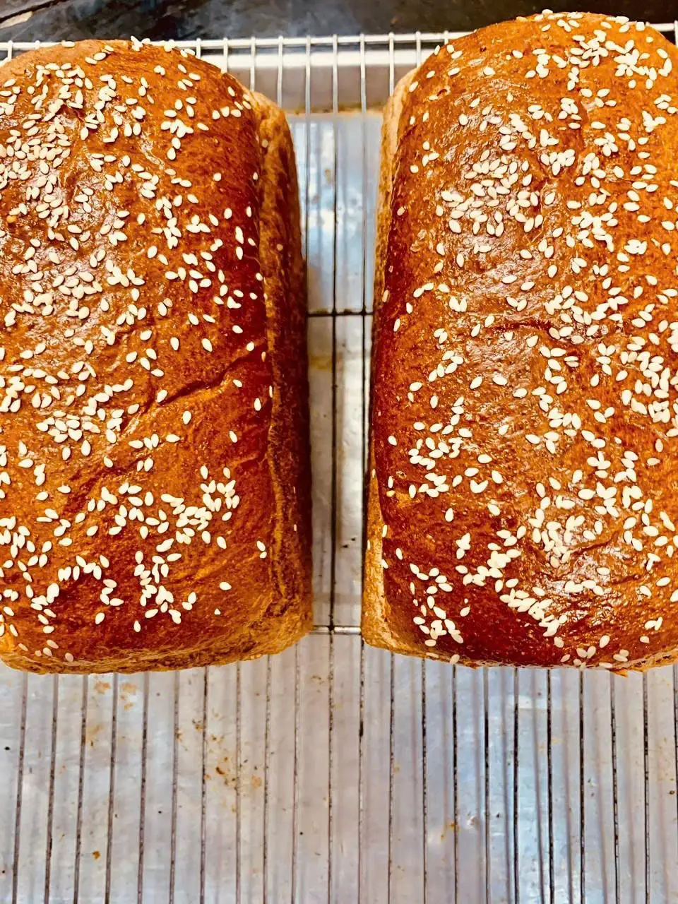 Hình ảnh Bánh mì đen nguyên cám