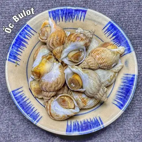 Hình ảnh Hải Sản Ánh Vũ - Bùi Quang Là