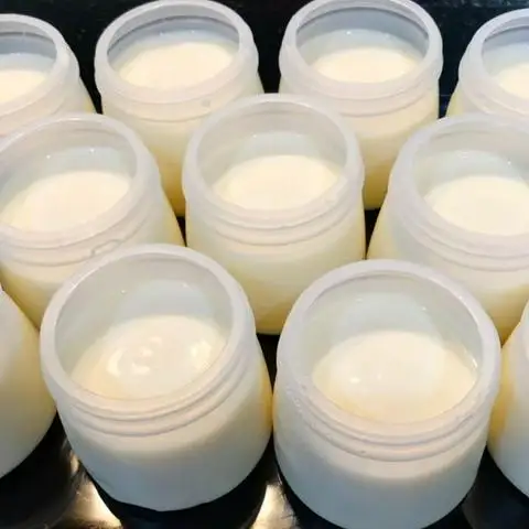Hình ảnh OVANA & YOGURT - Nguyễn Đăng Giai