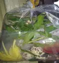 Bánh tráng trộn trứng cút - Tự trộn - 49.000 ₫ tại Bánh Tráng Trộn Ăn Vặt Cô Bông - Vĩnh Viễn