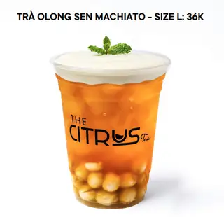 Hình ảnh Trà olong sen machiato - size L