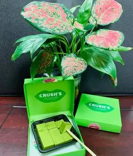 Hình ảnh Socola tươi - Crush vị trà xanh - hộp nhỏ