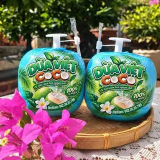 Hình ảnh Dừa tươi nguyên quả Dừa Việt Coco