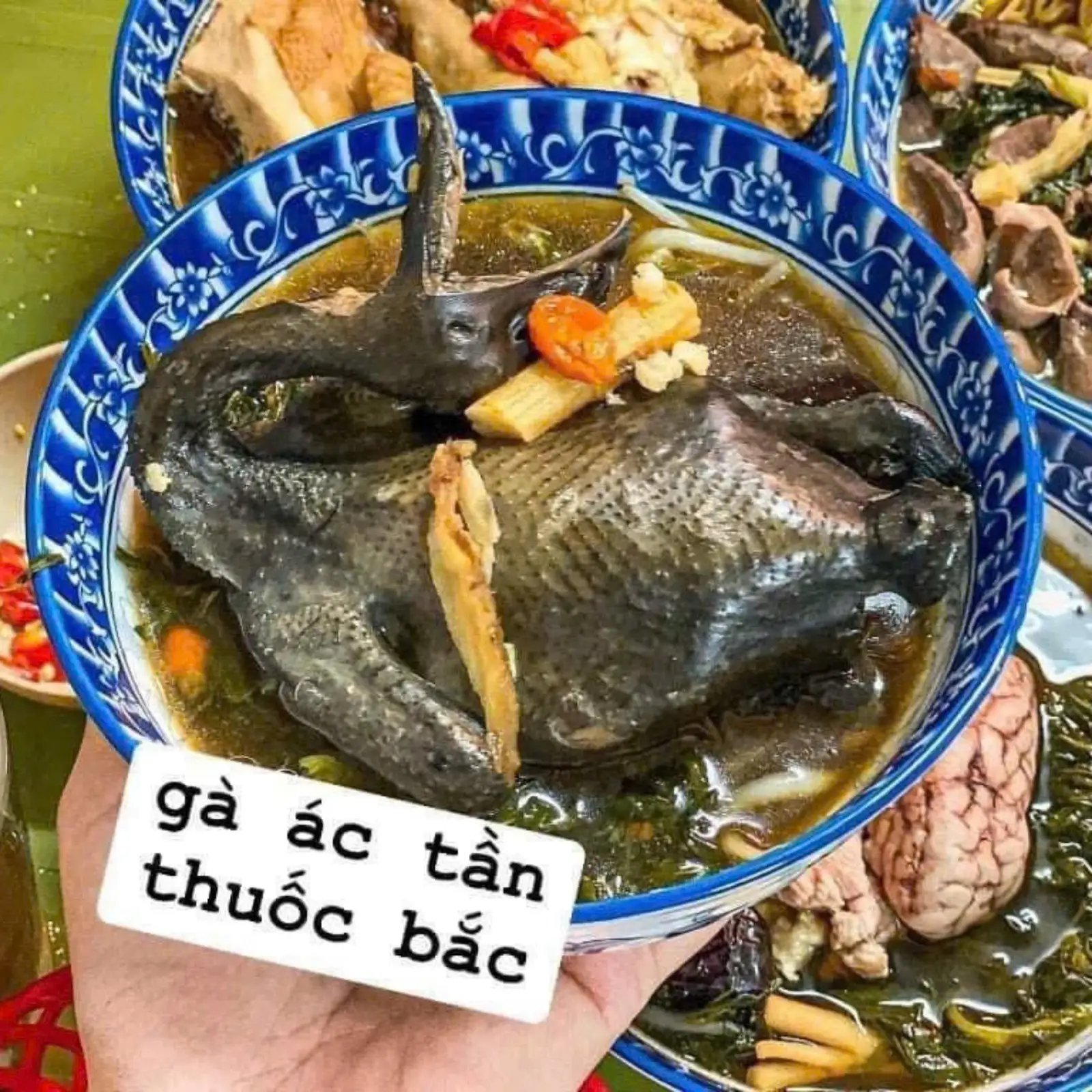 Hình ảnh Gà ác tần thuốc bắc
