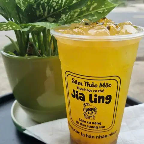 Hình ảnh Nước Sâm Gia Truyền Jia Ling - Vạn Hạnh 12