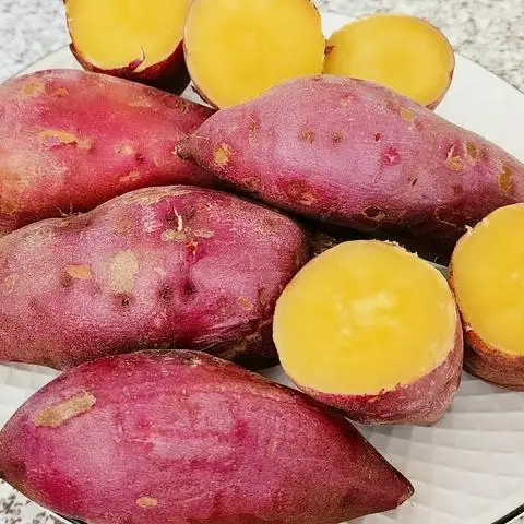 Hình ảnh Bé Trang - Khoai, Trứng Luộc & Cafe - Nguyễn Thượng Hiền
