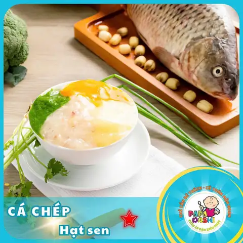 Cháo Ăn Dặm Kiểu Nhật Papa Dashi - Trần Hưng Đạo - Bún/Phở/Mỳ/Cháo gần bạn