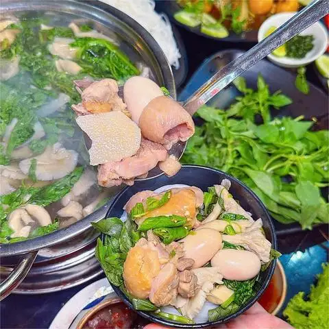Con Gà Trống - Lẩu Gà Lá É Phú Yên - Vĩnh Khánh - Lẩu & Nướng gần bạn