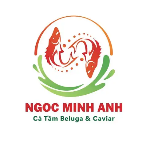 Hình ảnh Cá Tầm Ngọc Minh Anh - Đường 30