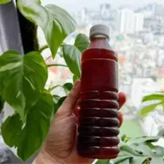 Hình ảnh Nước sâm  - 350ml