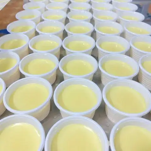 Hình ảnh Yaourt Phô Mai Đà Lạt - Trường Giang Food - Lê Tấn Bê