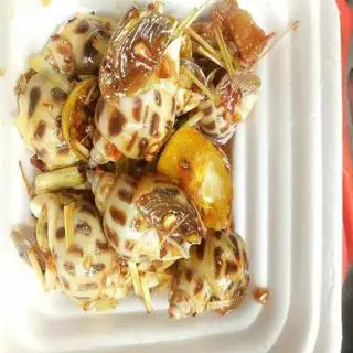 Hình ảnh Ốc hương
