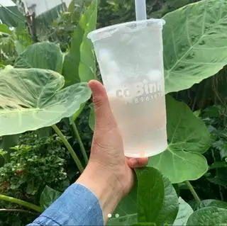Hình ảnh Dừa tươi đá đường - size L
