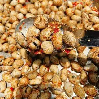 Hình ảnh Sò huyết sấy muối ớt  - 500gr