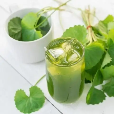 Rau Má Mix 1992 - Bình Chiểu - Sinh tố/Nước ép/Sữa gần bạn