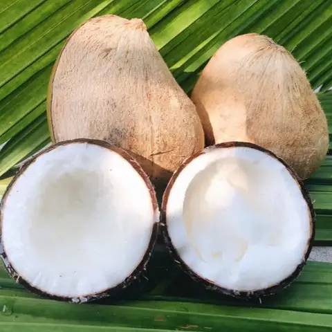 Hình ảnh Đặc Sản Miền Tây - Dừa Sáp Cầu Kè Trà Vinh & Trái Cây Vườn Nhà - Lê Văn Thịnh Nối Dài