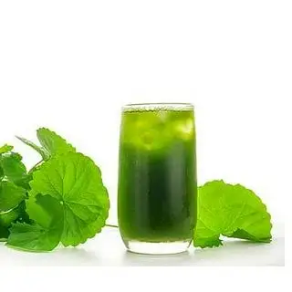 Nước rau má nguyên chất - 15.000 ₫ tại Nước Mía, Nước Dừa & Rau Má Sơn Tuyền - Xóm Chiếu