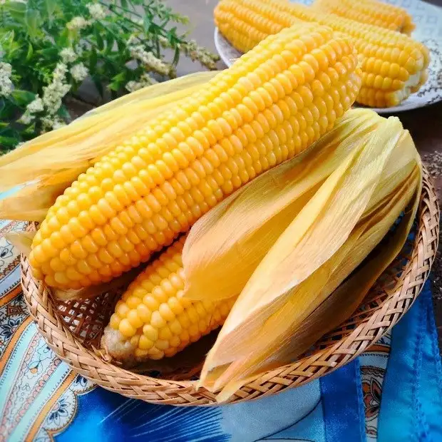 Bắp Mỹ luộc - 33.500 ₫ tại Bon Grocer - Market - Trương Định
