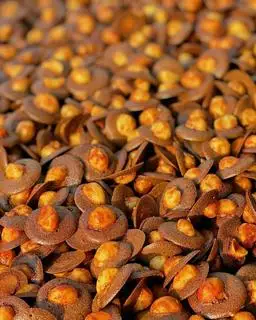 Hình ảnh Cookie socola macca - hộp 100gr