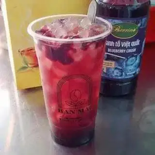 Hình ảnh Trà việt quất