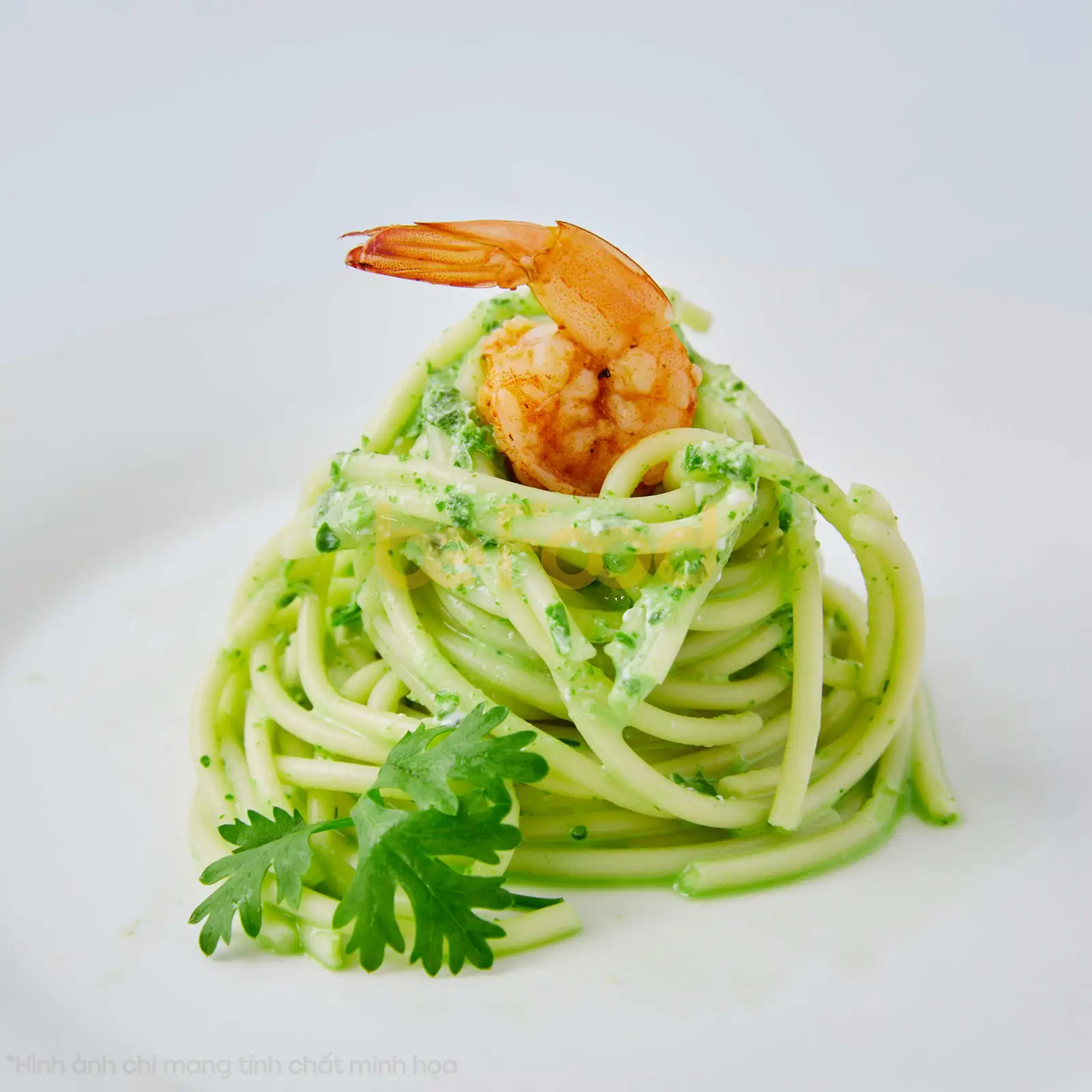 Hình ảnh Solo pasta