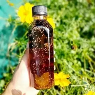 Hình ảnh Trà sâm bí đao hạt chia nhà làm - 330ml