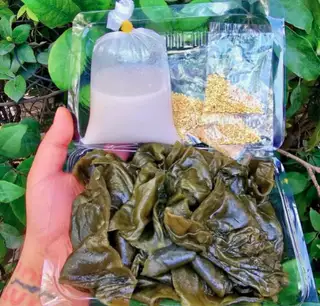 Hình ảnh Bánh lá mơ - hộp 500g