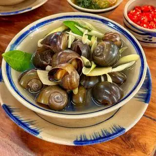 Hình ảnh Ốc mít