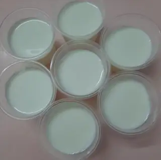 Hình ảnh Sữa chua phô mai