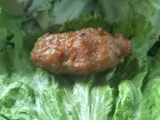 Thịt nướng - 10.000 ₫ tại Bún Thịt Nướng & Nem Nướng Chả Giò Khánh Vy - Phạm Đình Hổ