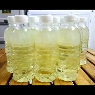 Nha đam - 16.000 ₫ tại Bún Mắm & Bún Thái Kim Thư - Lý Thường Kiệt