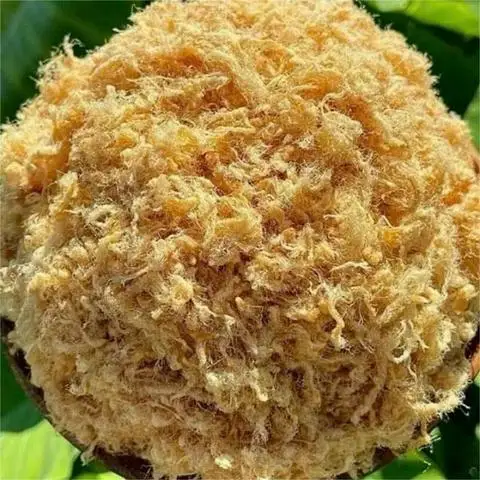 Hình ảnh Trà Sữa - Trà Trái Cây & Ăn Vặt Bảo Ngọc - Nguyễn Kiệm