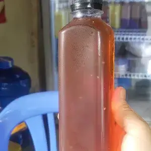 Hình ảnh Bí đao hạt é